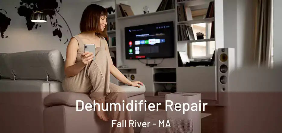 Dehumidifier Repair Fall River - MA