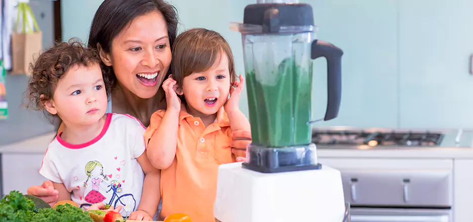 Juicer and Mixer Blender Repair in Fall River